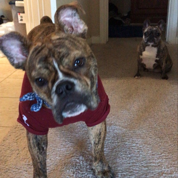 Meet your Posher, Alexandra - Picture 1 of 1